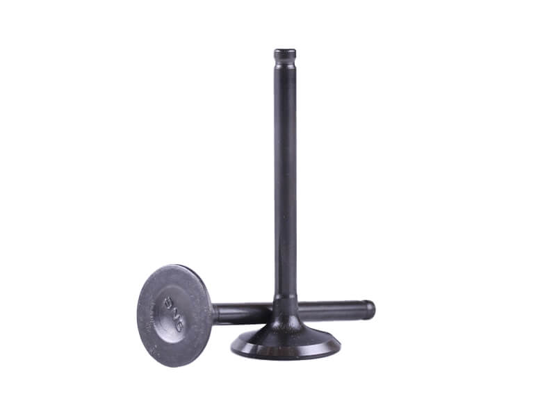 Клапаны TT AGRO MOTO на бензиновый двигатель 125CC, к-т 2 шт.