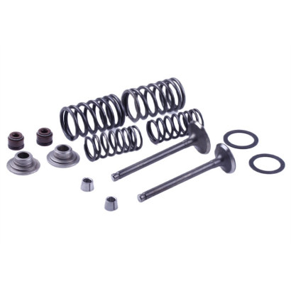 Клапаны + к-т на 2 клапана - Дельта/Альфа YBX