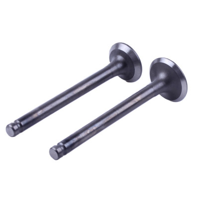 Клапаны TT AGRO MOTO на бензиновый двигатель 50CC4T, к-т 2 ш..