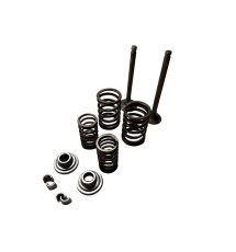 Клапани TT AGRO MOTO на бензиновий двигун 50CC4T, к-т на 2 клапани