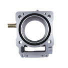 Циліндр TT AGRO MOTO на бензиновий двигун ZS174MN-5 CB300