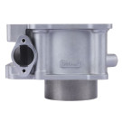 Циліндр TT AGRO MOTO на бензиновий двигун ZS174MN-5 CB300