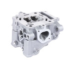 Головка блоку циліндра TT AGRO MOTO на бензиновий двигун ZS174MN-5 CB300