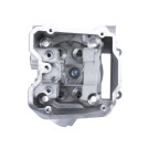 Головка блоку циліндра TT AGRO MOTO на бензиновий двигун ZS174MN-5 CB300