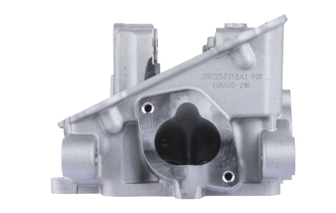 Головка блоку циліндра TT AGRO MOTO на бензиновий двигун ZS174MN-5 CB300