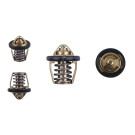 Термостат (ZS174MN-5) - CB300