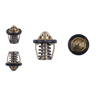 Термостат (ZS174MN-5) - CB300