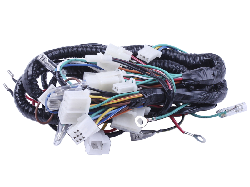 Проводка центральная TT AGRO MOTO для бензинового двигателя 50CC4T