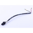 Жаба (пальчикова) YBX