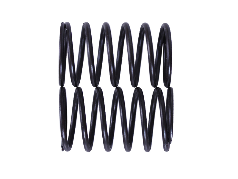 Пружины клапанов, к-т: 2 шт. - P70F (ZS) YBX