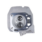 Головка блоку гола -194F