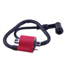 Котушка запалювання + свічник - ZUBR - TTG