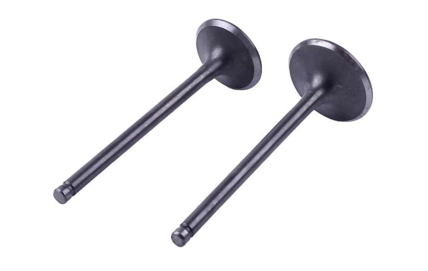 Клапани, к-т: 2 шт. - ZUBR - TTG