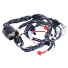 Проведення TTG на мотоцикл V150A