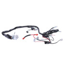 Проводка TTG на мотоцикл V150A
