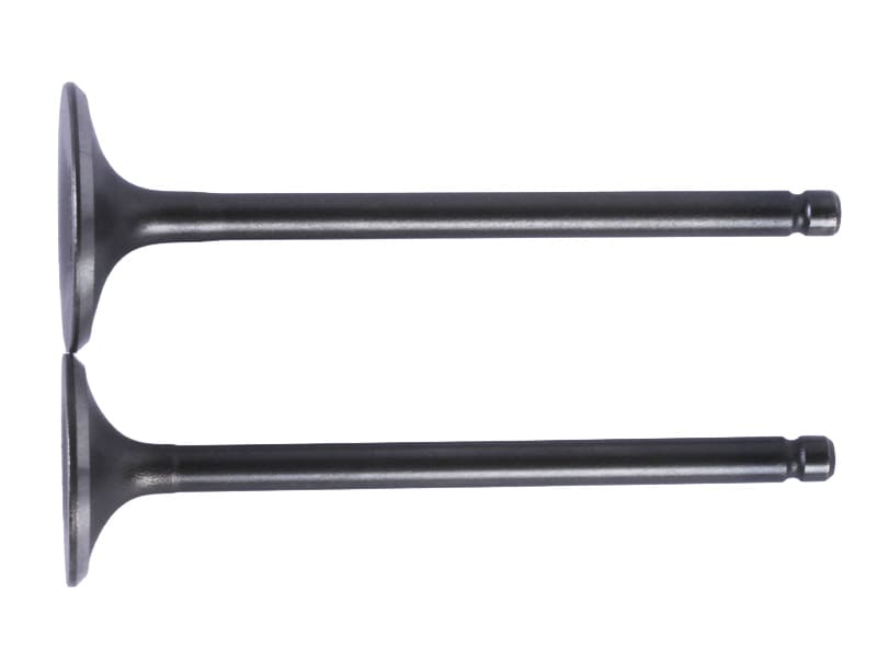 Клапаны TTG на бензиновый двигатель 165FMJ-172FMM, CB-250CC, к-т: 2 шт.