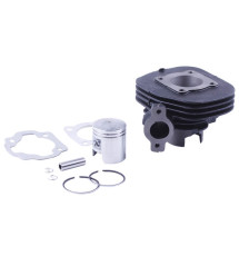 Поршнева (ЦПГ) 43 мм TT AGRO MOTO на бензиновий двигун 50CC2T, к-т: 9 одиниць