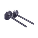 Клапана СG250 - TTG