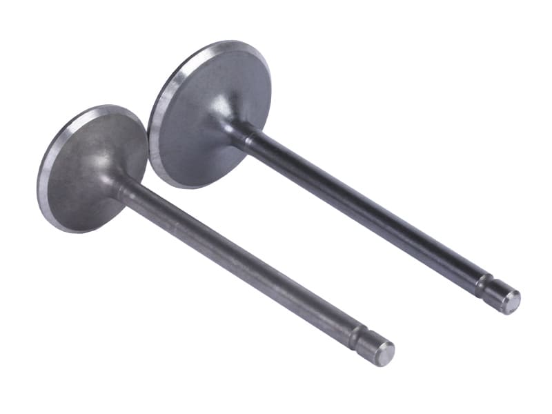Клапаны TTG на бензиновый двигатель 166FMM/СG250