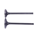 Клапана СG250 - TTG