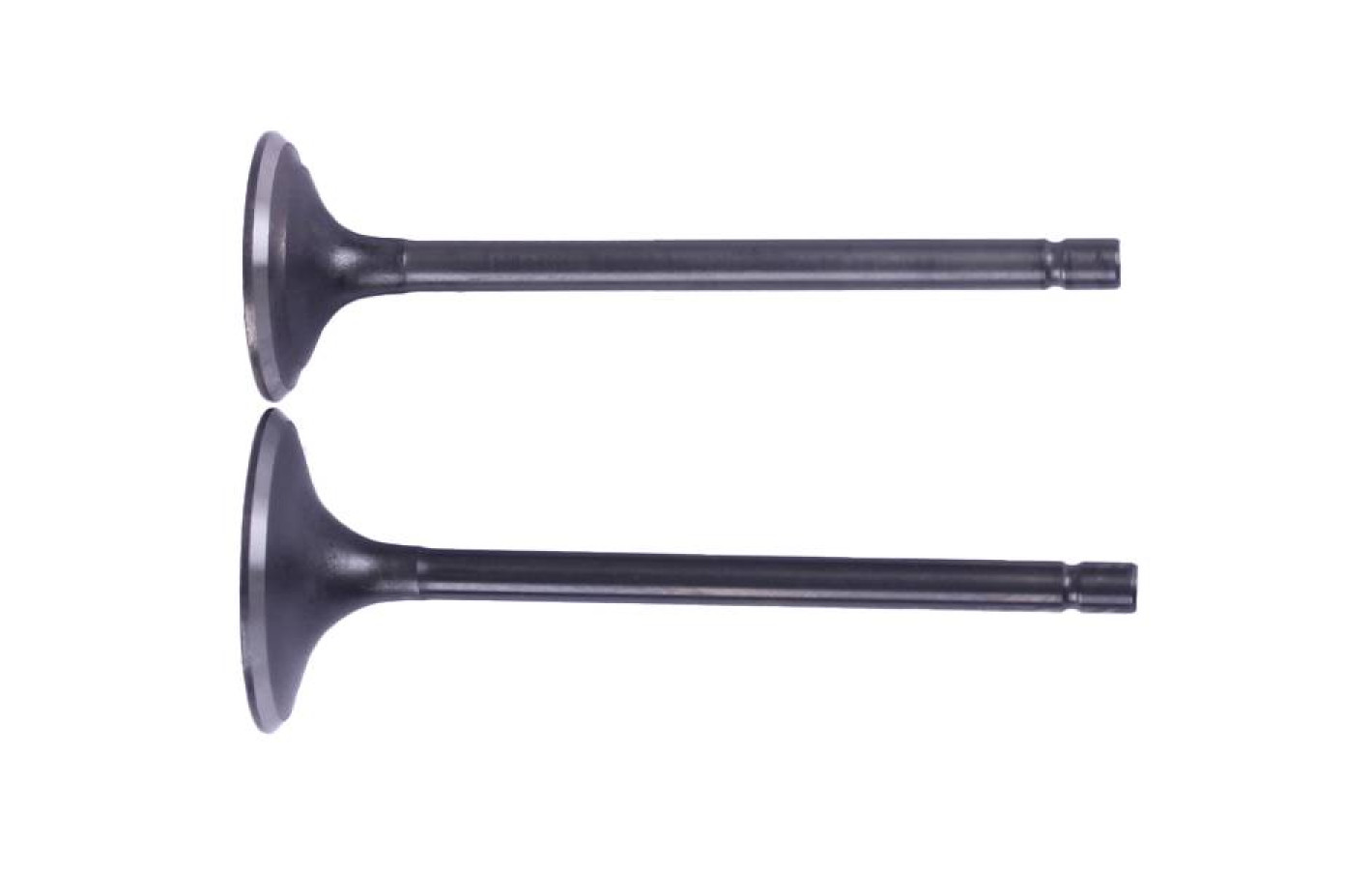 Клапана СG250 - TTG