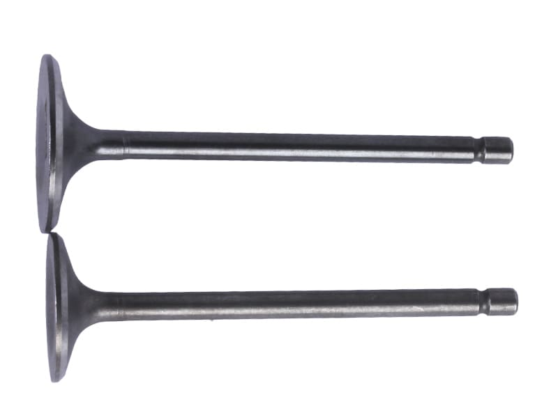 Клапаны TTG на бензиновый двигатель 166FMM/СG250