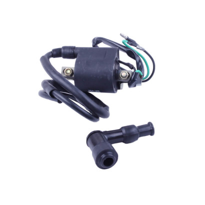 Катушка зажигания + надсвечник - Дельта - TTG