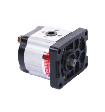 Насос шестерний TT AGRO MOTO СВТt - F310 CFBR на мінітрактор