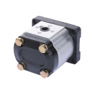 Насос шестеренчатый TΛTΛ СВТt - F310 CFBR на минитрактор