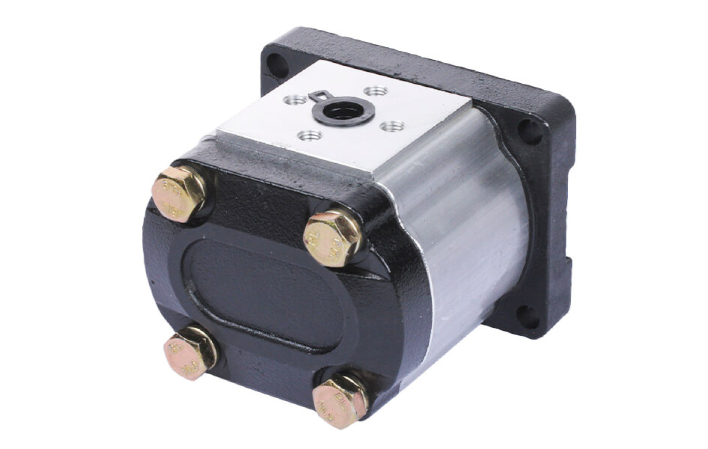 Насос шестеренчатый TΛTΛ СВТt - F310 CFBR на минитрактор