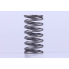 Пружина корзини зчеплення - КПП YBX