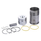 Поршневая группа 115,00 мм STD - ZS1115 YBX