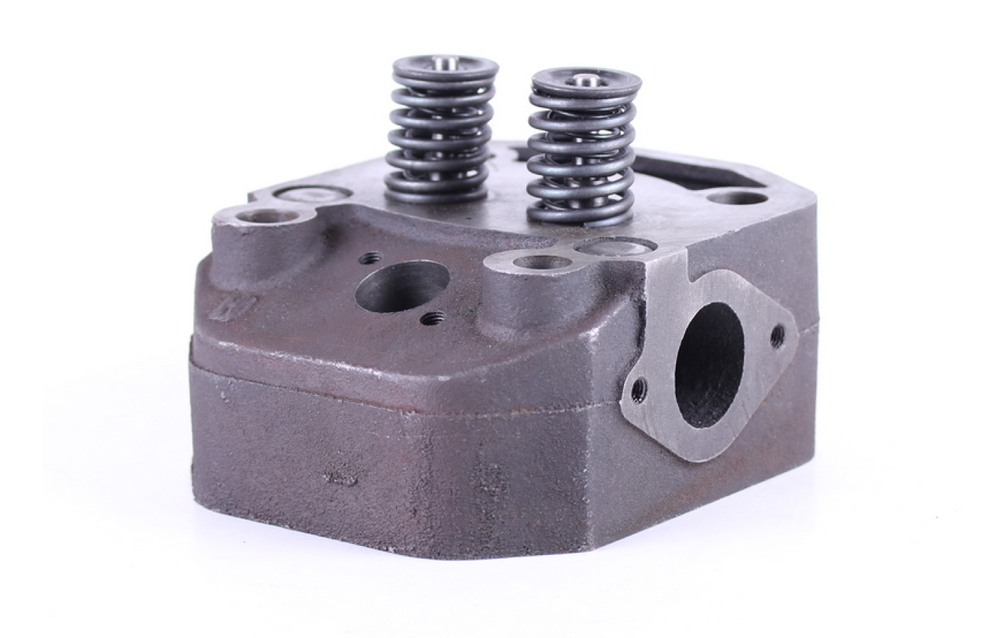 Головка циліндра у зборі TTG на дизельний двигун 195N/ZUBR, тип 2