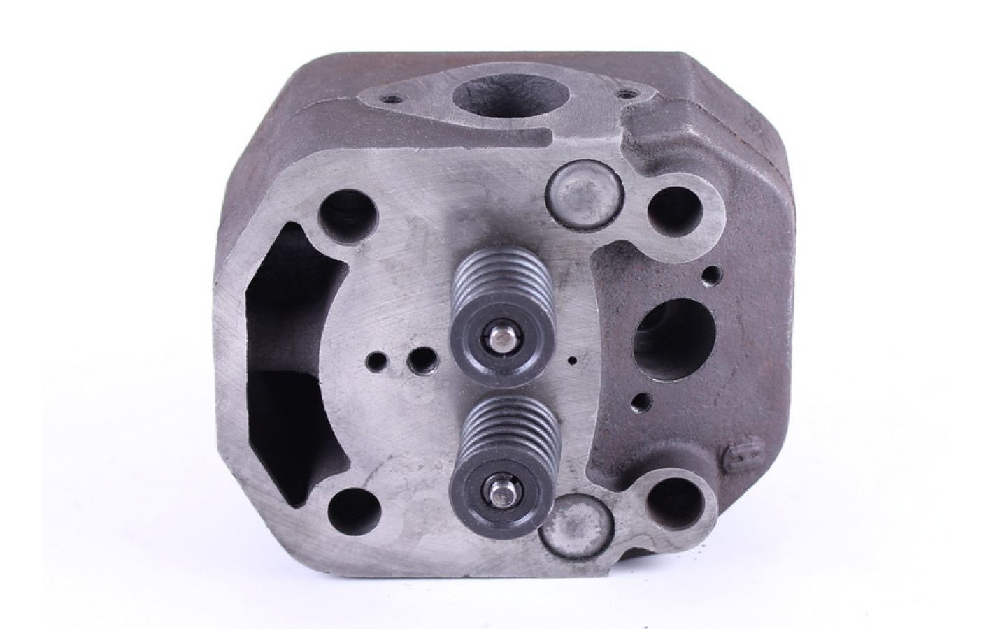 Головка циліндра у зборі TTG на дизельний двигун 195N/ZUBR, тип 2