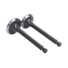 Клапани TT AGRO MOTO на генератор 1.8KW/2.0KW, к-т: 2 шт., тип 2