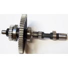 Розподільний вал у зборі - 190N/195N