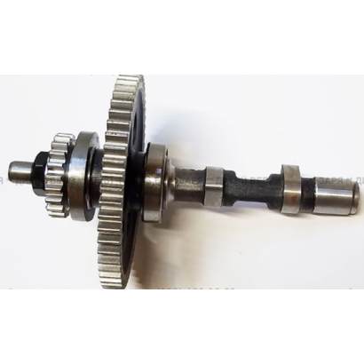 Розподільний вал у зборі - 190N/195N