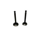 Клапаны, к-т: 2 шт. тип 3 - 1.8KW/2.0KW YBX