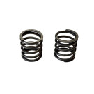 Пружини клапанів TT-AGRO-MOTO на бензиновий двигун 156F генератора GN 1,2 KW