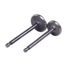 Клапани TT-AGRO-MOTO на дизельний двигун 178F генератора GN 3,5 KW, к-т: 2 шт., тип 2