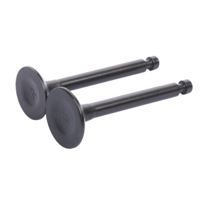 Клапани YBX на генератор 1.8KW/2.0KW, к-т: 2 шт., тип 2