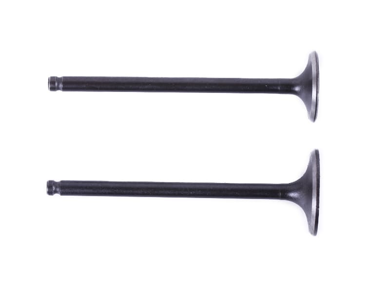 Клапани TT AGRO MOTO на бензиновий двигун CB-125, к-т: 2 шт., тип 2