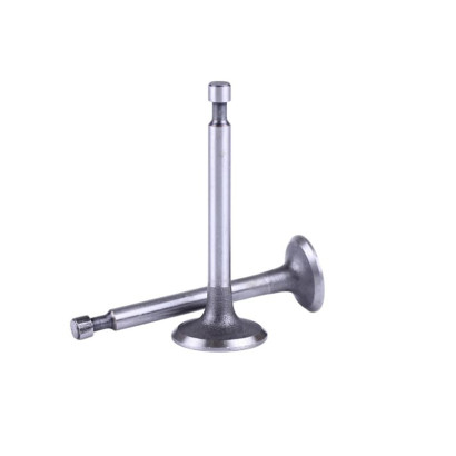 Клапаны TT AGRO MOTO на бензиновый двигатель 156F, к-т: 2 шт..