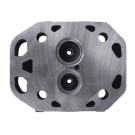 Головка блока циліндра гола TT AGRO MOTO на дизельний двигун ZH1105N, тип 2