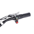 Електросамокат із сидінням TTG SM DES06C1 36V 1000W 12AH чорний Б/У