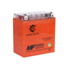 Аккумулятор гелевый TT AGRO MOTO YTX16-BS 16АH на генератор, 150×87×161mm оранжевый