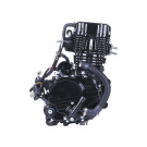 Двигун бензиновий CG300-2 TT AGRO MOTO на мотоцикл, 170мм, з водяним охолодженням, 25 к.с.