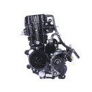 Двигун бензиновий CG300-2 TT AGRO MOTO на мотоцикл, 170мм, з водяним охолодженням, 25 к.с.