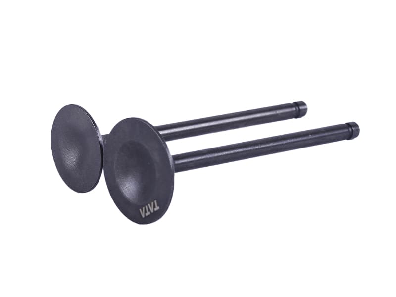 Клапаны TT AGRO MOTO на бензиновый двигатель 165FMJ,CB-250/300СС, к-т 2 шт.