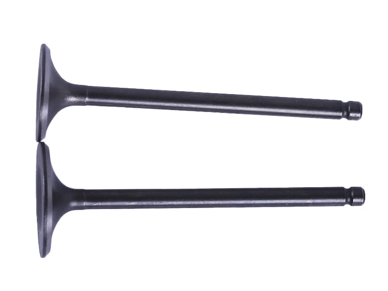 Клапаны TT AGRO MOTO на бензиновый двигатель 165FMJ,CB-250/300СС, к-т 2 шт.